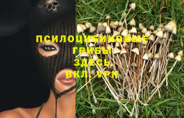 PSILOCYBIN Богородицк